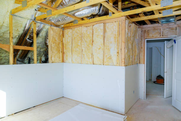 Best Geographic-Specific Insulation Services in Bayou Cane, LA