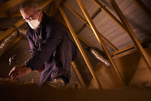 Best Spray Foam Insulation in Bayou Cane, LA